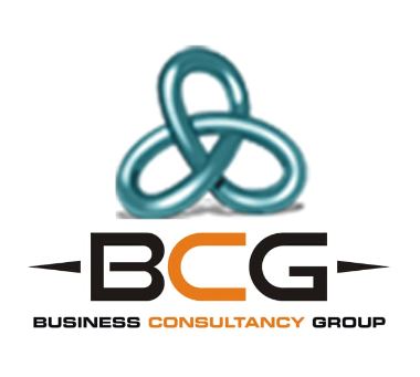 Business Consultancy Group